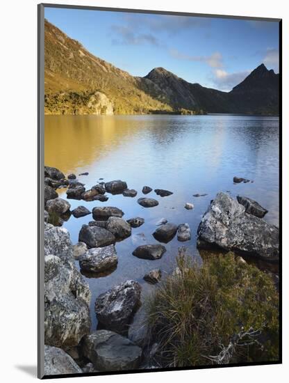 Cradle Mountain and Dove Lake, Cradle Mountain-Lake St. Clair National Park, Tasmania, Australia-Jochen Schlenker-Mounted Photographic Print