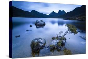 Cradle Mountain National Park, Tasmania, Australia. Dove Lake at Sunrise-Matteo Colombo-Stretched Canvas