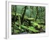 Cradle Mt. and Lake St. Clair National Park, Tasmania, Australia-Rob Tilley-Framed Photographic Print