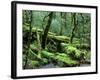 Cradle Mt. and Lake St. Clair National Park, Tasmania, Australia-Rob Tilley-Framed Photographic Print