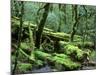 Cradle Mt. and Lake St. Clair National Park, Tasmania, Australia-Rob Tilley-Mounted Photographic Print