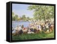 Framed Canvas