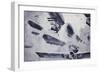 Craft Like That Which Attacked Antwerp-null-Framed Giclee Print