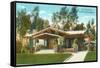 Craftsman Bungalow, San Diego, California-null-Framed Stretched Canvas