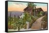 Craftsman House, Southern California-null-Framed Stretched Canvas