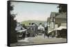 Cragg Brow, Bowness on Windermere, Lake District-null-Framed Stretched Canvas