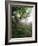 Craggy Gardens, Pisgah National Forest, North Carolina, USA-Adam Jones-Framed Photographic Print