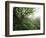 Craggy Gardens, Pisgah National Forest, North Carolina, USA-Adam Jones-Framed Photographic Print