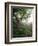 Craggy Gardens, Pisgah National Forest, North Carolina, USA-Adam Jones-Framed Photographic Print