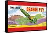Cragstan Dragon Fly-null-Framed Stretched Canvas