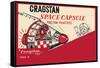 Cragstan Space Capsule-null-Framed Stretched Canvas