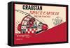 Cragstan Space Capsule-null-Framed Stretched Canvas