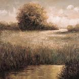 Hillside Pond II-Craig Palmer-Art Print