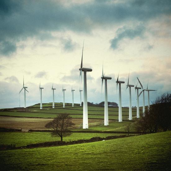 Photographic Print, , large