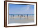 Brown Frame
