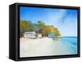 Canvas Black