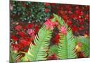 Wood Mount