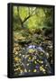 Essential Black