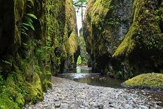 Oneonta Creek in Oneonta Gorge, Columbia River National Scenic Area, Oregon, United States-Craig Tuttle-Photographic Print