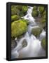 Essential Black