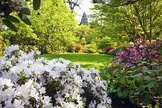 Fall Colors Add Beauty to Crystal Springs Rhododendron Test Garden, Portland, Oregon-Craig Tuttle-Photographic Print