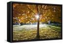 Canvas Black