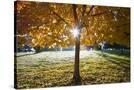 Stretched Canvas