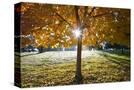 Stretched Canvas