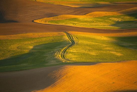 Premium Photographic Print, , large