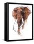 Craig-Mark Adlington-Framed Stretched Canvas