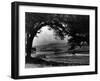 Craigallian Loch 1956-Daily Record-Framed Photographic Print