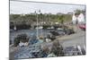 Crail, Fife Coast, Scotland, United Kingdom-Nick Servian-Mounted Photographic Print