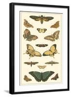 Cramer Butterfly Panel I-Pieter Cramer-Framed Art Print