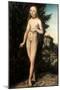 Cranach: Aphrodite/Venus-Lucas Cranach the Elder-Mounted Premium Giclee Print
