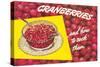 Cranberries and How to Cook Them-null-Stretched Canvas