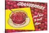 Cranberries and How to Cook Them-null-Stretched Canvas