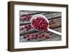 Cranberries and Ladle-Andrea Haase-Framed Photographic Print