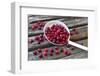 Cranberries and Ladle-Andrea Haase-Framed Photographic Print