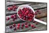 Cranberries and Ladle-Andrea Haase-Mounted Photographic Print