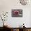 Cranberries and Ladle-Andrea Haase-Framed Stretched Canvas displayed on a wall