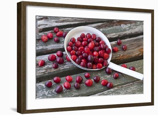 Cranberries and Ladle-Andrea Haase-Framed Photographic Print