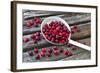 Cranberries and Ladle-Andrea Haase-Framed Photographic Print