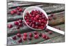 Cranberries and Ladle-Andrea Haase-Mounted Photographic Print