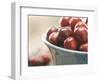 Cranberries in a bowl-Fancy-Framed Photographic Print