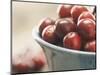 Cranberries in a bowl-Fancy-Mounted Photographic Print