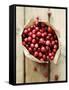 Cranberries in Paper Bag (Overhead View)-Marc O^ Finley-Framed Stretched Canvas