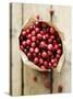 Cranberries in Paper Bag (Overhead View)-Marc O^ Finley-Stretched Canvas