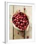 Cranberries in Paper Bag (Overhead View)-Marc O^ Finley-Framed Photographic Print