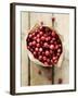 Cranberries in Paper Bag (Overhead View)-Marc O^ Finley-Framed Photographic Print