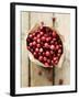 Cranberries in Paper Bag (Overhead View)-Marc O^ Finley-Framed Photographic Print